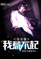 没有谁惹不起小说