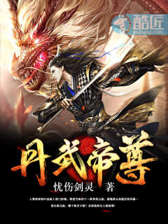 丹武帝尊叶星辰免费暗点