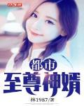 《都市至尊豪婿》