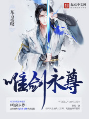 唯剑独尊顶点