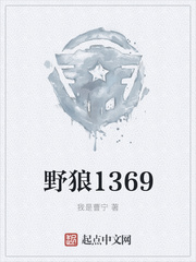 野狼disco播放量是多少