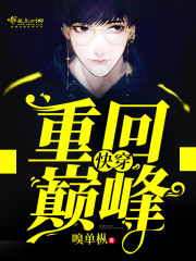丐婿之重回巅峰小说免费阅读