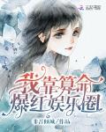 我靠算命爆红娱乐圈宝书网