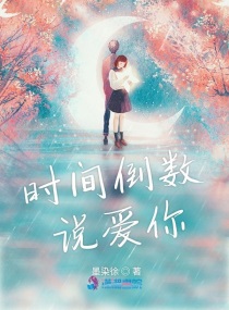 倒数说爱你歌词