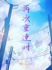 再次重逢时小说全文免费阅读