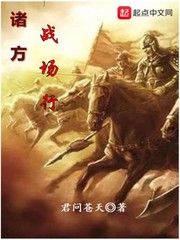 乐方战场电视剧
