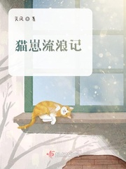 小猫流浪记属于什么类型的