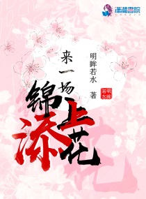 来一场锦上添花小说在线阅读全文