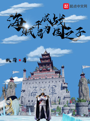海贼开局成为战国之子小说全本下载