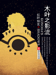 木叶之影流顶点