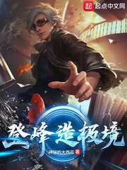 我想看登峰造极境