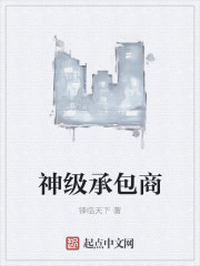 神级承包商小说下载
