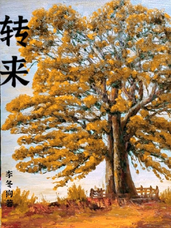 转来转去的转该怎么写