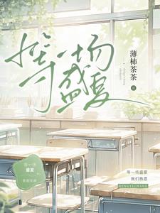 等一场盛夏孩子帮小说