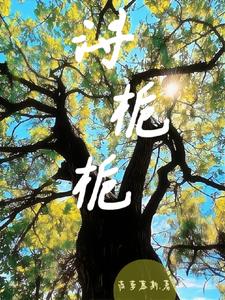 浔枝什么意思