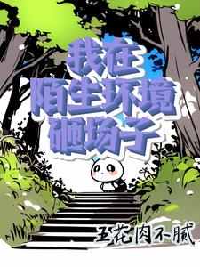 小说主角苏灿